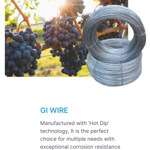 GI Wire (BoS)